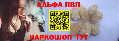 крисы Моздок