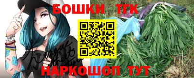 крисы Моздок