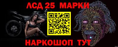крисы Моздок