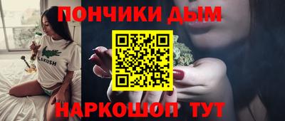 крисы Моздок