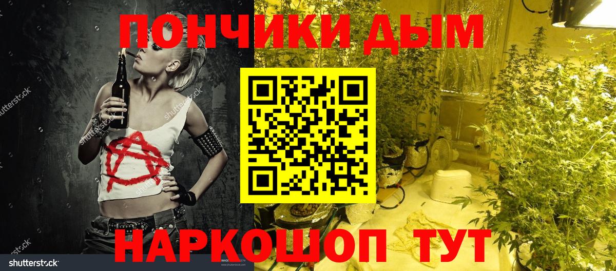 Каннабис сатива Шатура